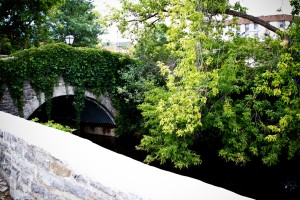 Gatineau-15